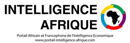 portail-intelligence-afrique